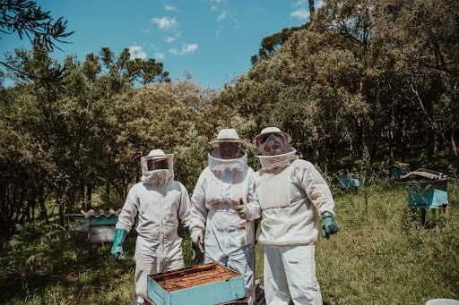 Beekeeper Costume