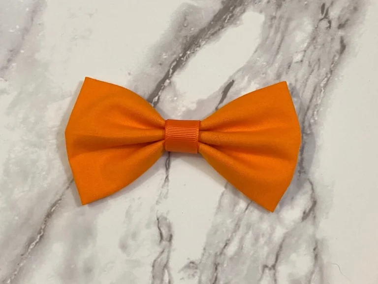 Unleash Your Vibrant Side with an Orange Bowtie A Pop of Color for Any Outfit