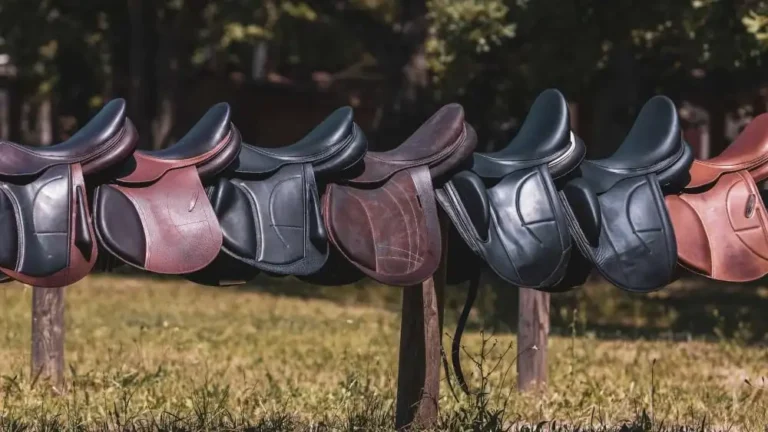 The Ultimate Guide to New Saddles Comfort, Performance, and Style