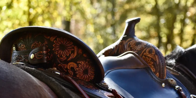 Unveiling the Art of Western Saddles A Comprehensive Guide