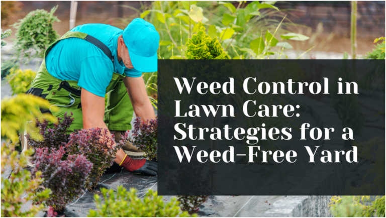 Weed Control in Lawn Care: Strategies for a Weed-Free Yard