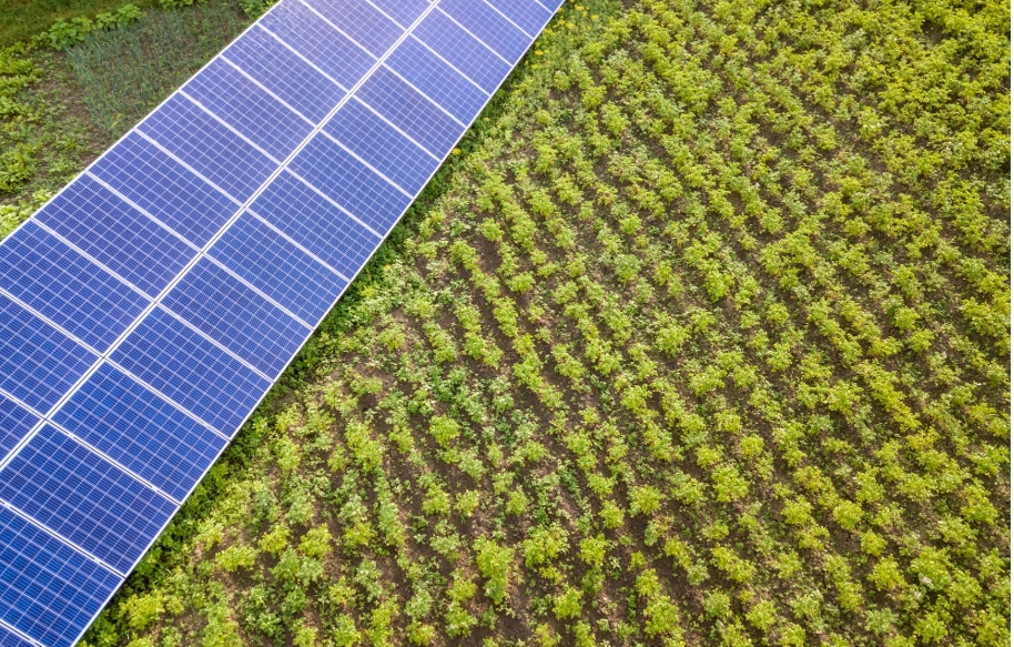 How Solar Panels Are Revolutionising Agricultural Operations in the UK