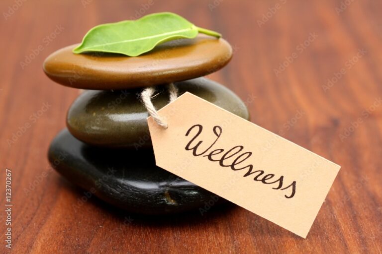 The 8 Pillars of Holistic Wellness